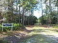 Palmetto Pines Plantation