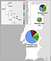 Distribuição dos haplogrupos de cromossomo Y dos sefarditas portugueses e da população portuguesa não-judia