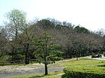 Ajiyoshi Futagoyama Kofun