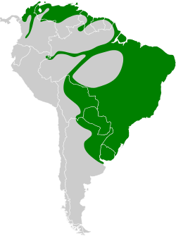Distribución geográfica del curutié colorado.