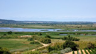 L'étang de Vendres.