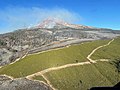 The fire seen from the air on July 8, 2021