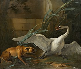 Cygne attaqué par un chien (1745), North Carolina Museum of Art.