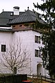 Schloss Wildshut