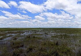 Depresión leve en la tierra donde se aposenta el agua en época de lluvia