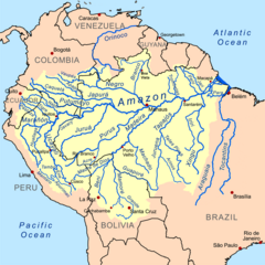 Amazonio (Tero)