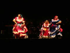 Ballet folklórico con traje típico de volcareña