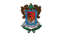 Michoacán – Bandiera