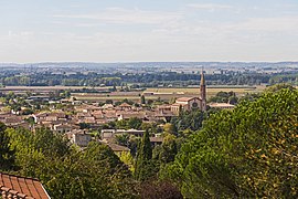 Grisolles (Tarn-et-Garonne), France. Northeast exposure.