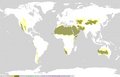 Climat sec