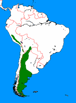 Distribución del guanaco (Lama guanicoe)[1]​