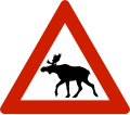 Animals (moose) Warns that moose often traverse or travel on the roads.