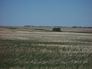 steppe yn Alberta