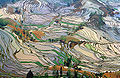 Terrazas de irrigación en Yunnan.
