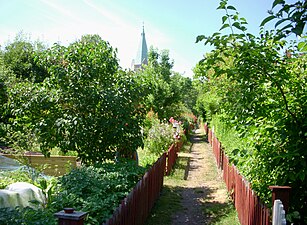 Barnängens koloniträdgårdsförening.