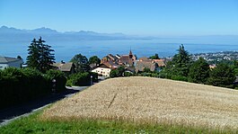 View of Belmont-sur-Lausanne and Lake Léman