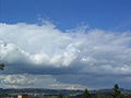 Stratocumulus castellanus cumulogenitus