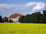 Rapsfält på den pannoniska slätten. Bortom rapsfältet syns barockherrgården i Dornava.