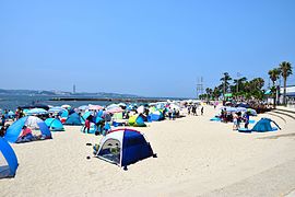 日間賀島 （知多郡南知多町）