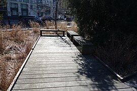 Hudson River Park td (2019-03-27) 041 - Tribeca Native Boardwalk.jpg