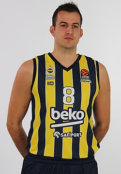 Bjelica vuonna 2022.