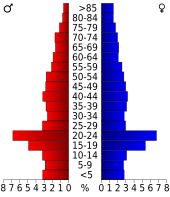 Bevolkingspiramide Clark County