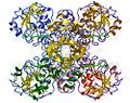 Vignette pour Glycéraldéhyde-3-phosphate déshydrogénase