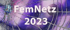Das Banner für das Netzwerktreffen FemNetz 2023 ist eine Collage aus einem Foto, das einen Ausschnitt eines Spinnennetzes mit einer Spinne darin zeigt. Die Farben des Fotos sind in lila-blau gehalten. Auf dem Banner steht der Text "FemNetz 2023"