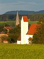 Burggen in der Abendsonne