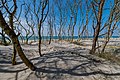 Platz 4: T meltzer - Strand im Nationalpark Vorpommersche Boddenlandschaft