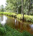 Die vereinigte Moldau kurz vor dem Stausee Lipno