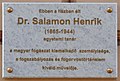 Salamon Henrik