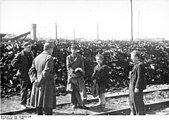 Ouest : policier interpellant de jeunes voleurs de charbon près de la gare de Wannsee, 1946.