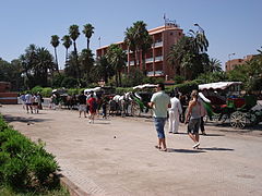 Caleches in Marrakech (2844988131).jpg