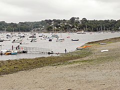 Helford Passage - geograph.org.uk - 2014832.jpg