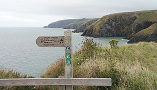 The Pembrokeshire Coast path near Ceibwr Bay, looking north towards Cemaes Head