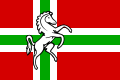 Drapeau des locuteurs du Bas saxon des Pays-Bas