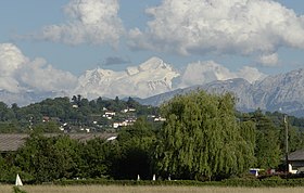 Puplinge mit Mont Blanc im Hintergrund