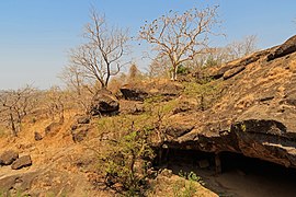 Sanjay Gandhi National Park