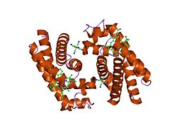 PDB 1urv EBI