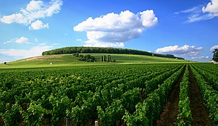 Veiniistandused Burgundias