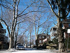 Acron Road Brookline Massachusetts.jpg