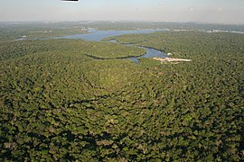 Brazilská část amazonského deštného lesa (Manaus)