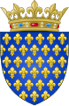 Arms of the Kingdom of France.