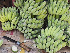 Bananenstauden auf einem Frucht Markt.jpg