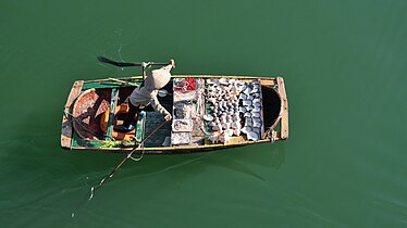 Vendor's boat in Ha Long Bay