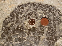 Repère en bronze orienté scellé sur l'église Saint-Michel de Brunvillers-la-Motte (Oise). La pièce de 1 centime d'euro est placée pour donner l'échelle.