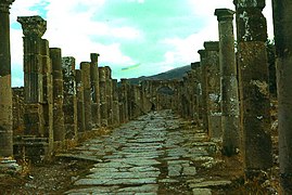 Le cardo maximus près du marché