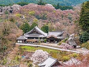 奈良・長谷寺の春の本坊全景