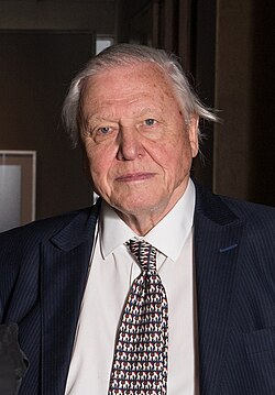 Attenborough vuonna 2015.